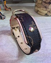 Load image into Gallery viewer, NEW L &amp; V dog collar
