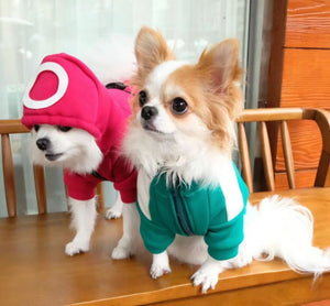 NEW Squid games dog jumper