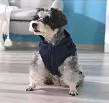 Load image into Gallery viewer, NEW Dog Harness jacket
