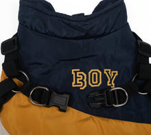 Load image into Gallery viewer, NEW Dog Harness jacket
