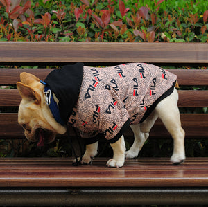 Stylish dog hoodie