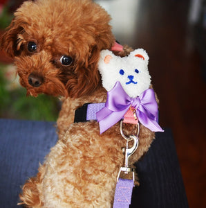 NEW Teddy dog harness set