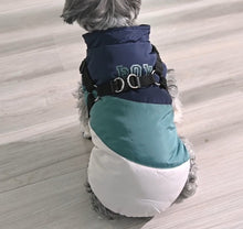 Load image into Gallery viewer, NEW Dog Harness jacket
