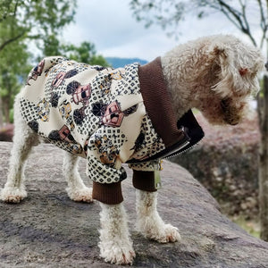 Stylish dog hoodie