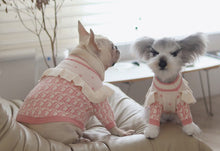 Load image into Gallery viewer, NEW Dogior dog jumper
