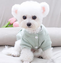 Load image into Gallery viewer, NEW Puppy Love dog hoodie
