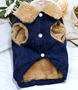 New Teddy dog jacket