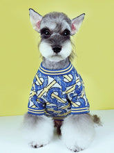 Load image into Gallery viewer, BB dog jumper
