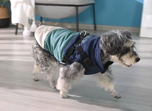 Load image into Gallery viewer, NEW Dog Harness jacket
