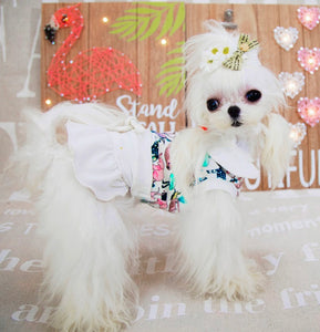 NEW Tropicana dog dress