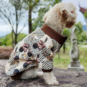 Stylish dog hoodie