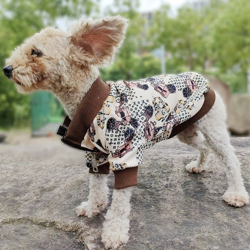 Stylish dog hoodie