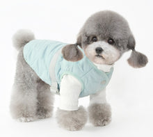 Load image into Gallery viewer, Adelina D ring dog jacket
