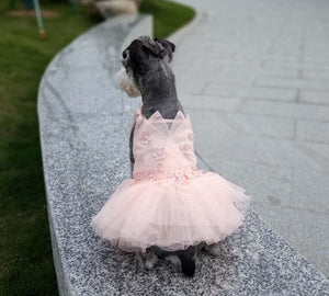 Florina pet dress