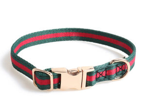 Fashion  Pooch Collar