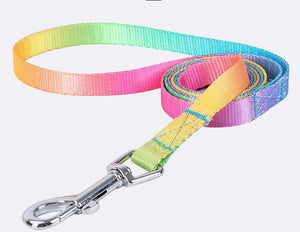 Dotty dog harness set