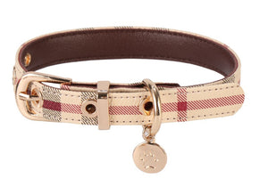 Autumn  Vibes collar set