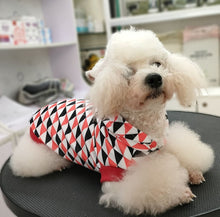 Load image into Gallery viewer, NEW Pawda dog hoodie
