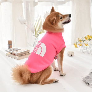 NEW The Face Dog