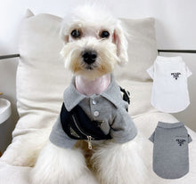 Load image into Gallery viewer, NEW Pawda dog polo
