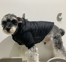 Load image into Gallery viewer, Winter jacket
