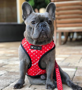 NEW paws dog harness set