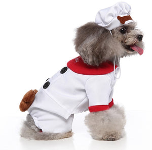 Cook cosplay dog outfit