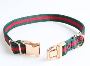 Fashion  Pooch Collar