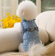 Load image into Gallery viewer, Dotty dog harness jacket
