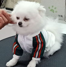 Load image into Gallery viewer, Pooch zip jumper
