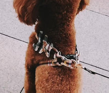 Load image into Gallery viewer, Teddy harness set

