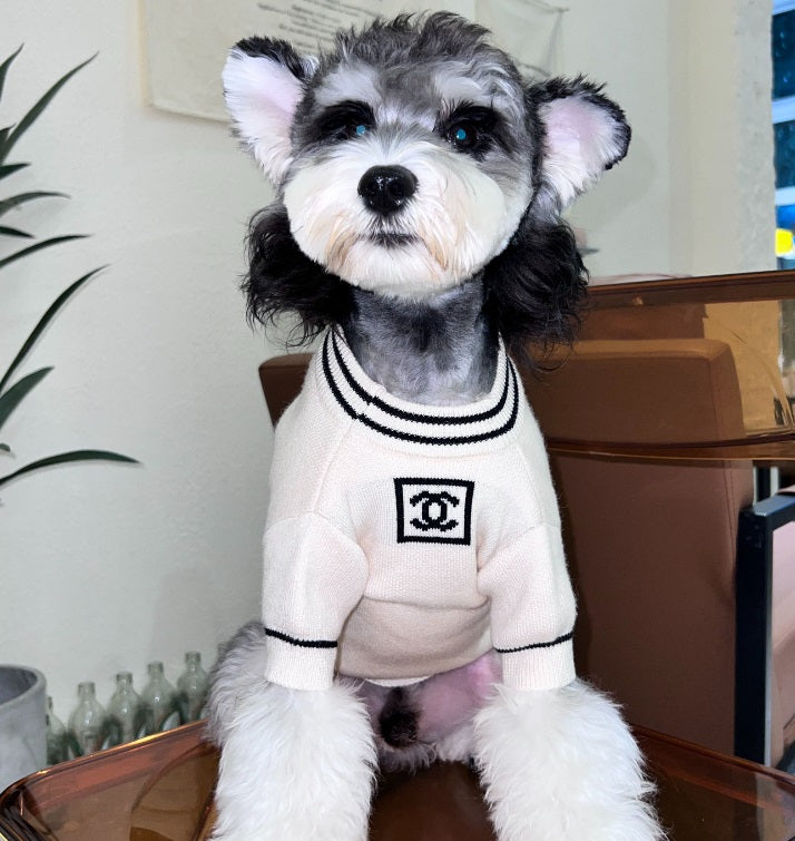 NEW CC&5 dog jumper