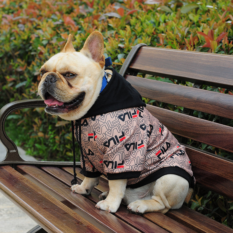 Stylish dog hoodie