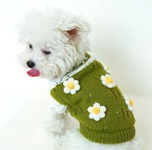 Load image into Gallery viewer, NEW Daisy dog jumper
