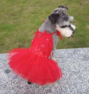 Florina pet dress