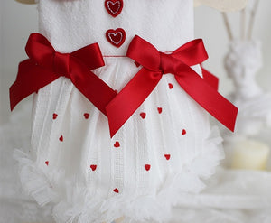 Heart dog dress