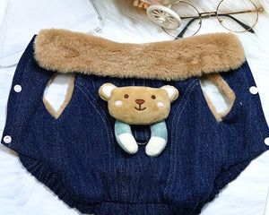 New Teddy dog jacket