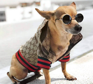 NEW Designer dog jacket