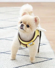 Load image into Gallery viewer, Bee dog harness

