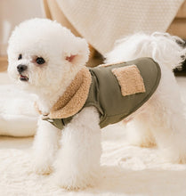 Load image into Gallery viewer, NEW D ring dog jacket
