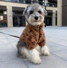 Load image into Gallery viewer, L &amp; V dog coat
