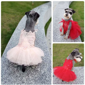 Florina pet dress