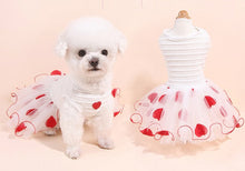 Load image into Gallery viewer, NEW Little Diva dog dress
