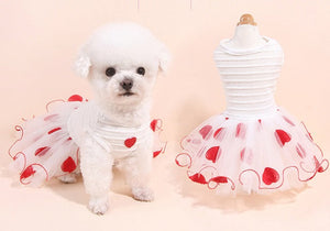 NEW Little Diva dog dress