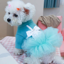 Load image into Gallery viewer, NEW Sniffany dog dress
