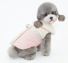 Load image into Gallery viewer, NEW Towner dog jacket
