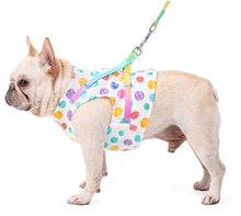 Load image into Gallery viewer, Dotty dog harness set
