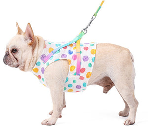 Dotty dog harness set