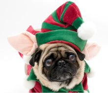 Load image into Gallery viewer, NEW Elf dog outfit with Hat
