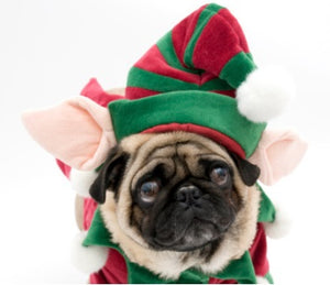 NEW Elf dog outfit with Hat